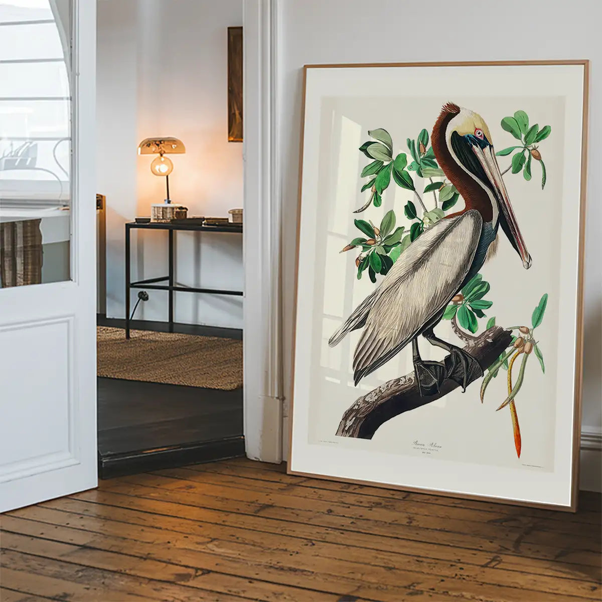 Brown Pelican Vintage Bird Print
