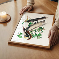 Brown Pelican Vintage Bird Print