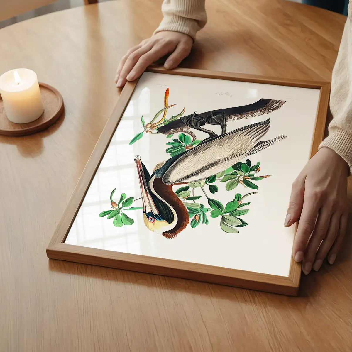 Brown Pelican Vintage Bird Print