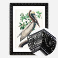 Black Ornate Frame