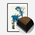 Black Wood Frame