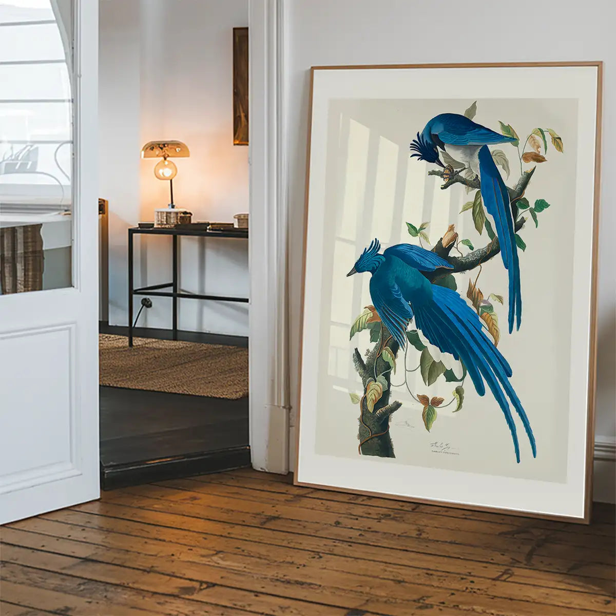 Columbia Jay Vintage Bird Print