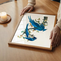 Columbia Jay Vintage Bird Print