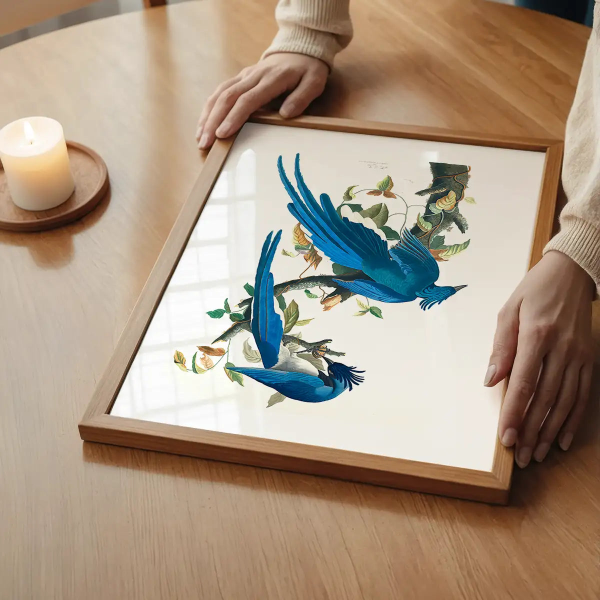 Columbia Jay Vintage Bird Print