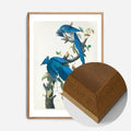 Oak Wood Frame