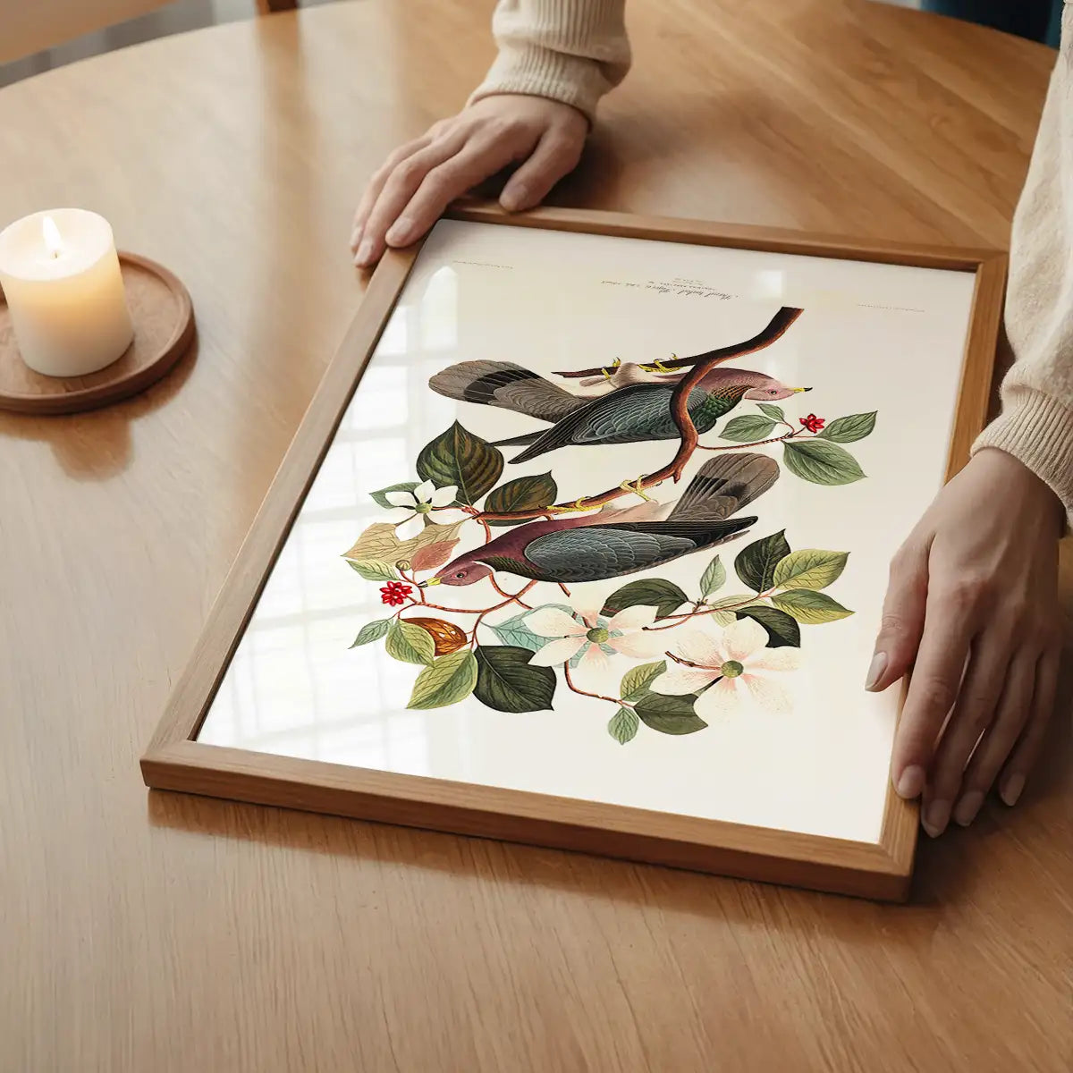 Band Tailed Pigeon Vintage Bird Print