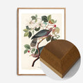Oak Wood Frame