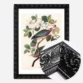 Black Ornate Frame