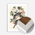 White Wood Frame