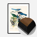 Black Wood Frame