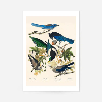 Five Birds Vintage Bird Print