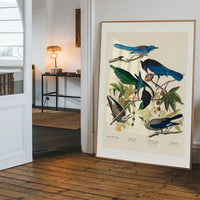 Five Birds Vintage Bird Print