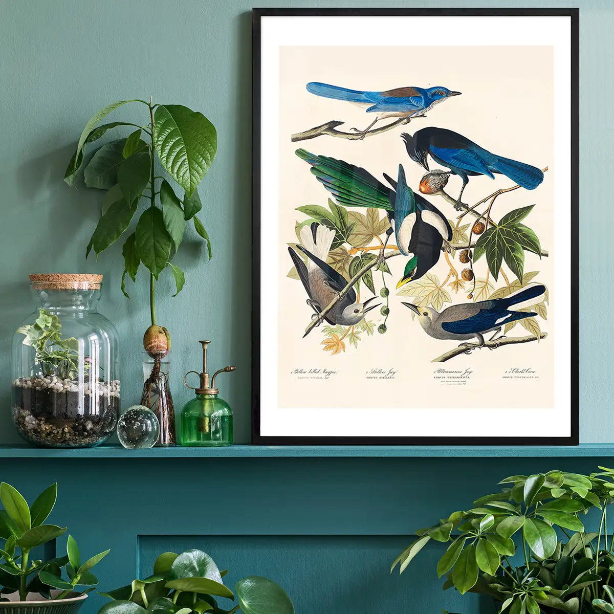 Five Birds Vintage Bird Print