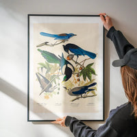 Five Birds Vintage Bird Print