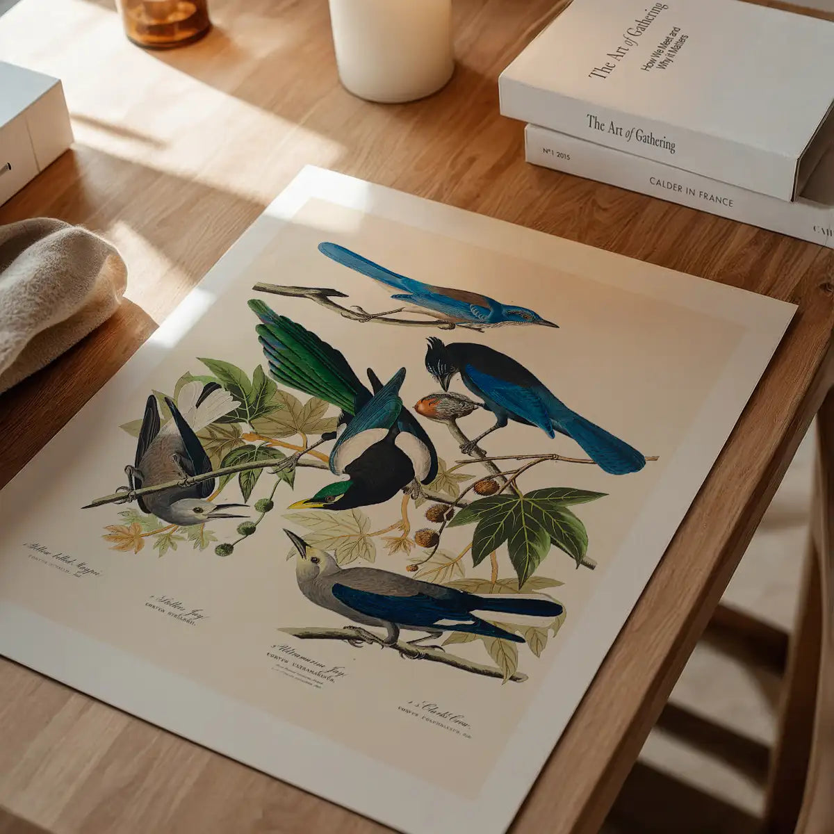Five Birds Vintage Bird Print