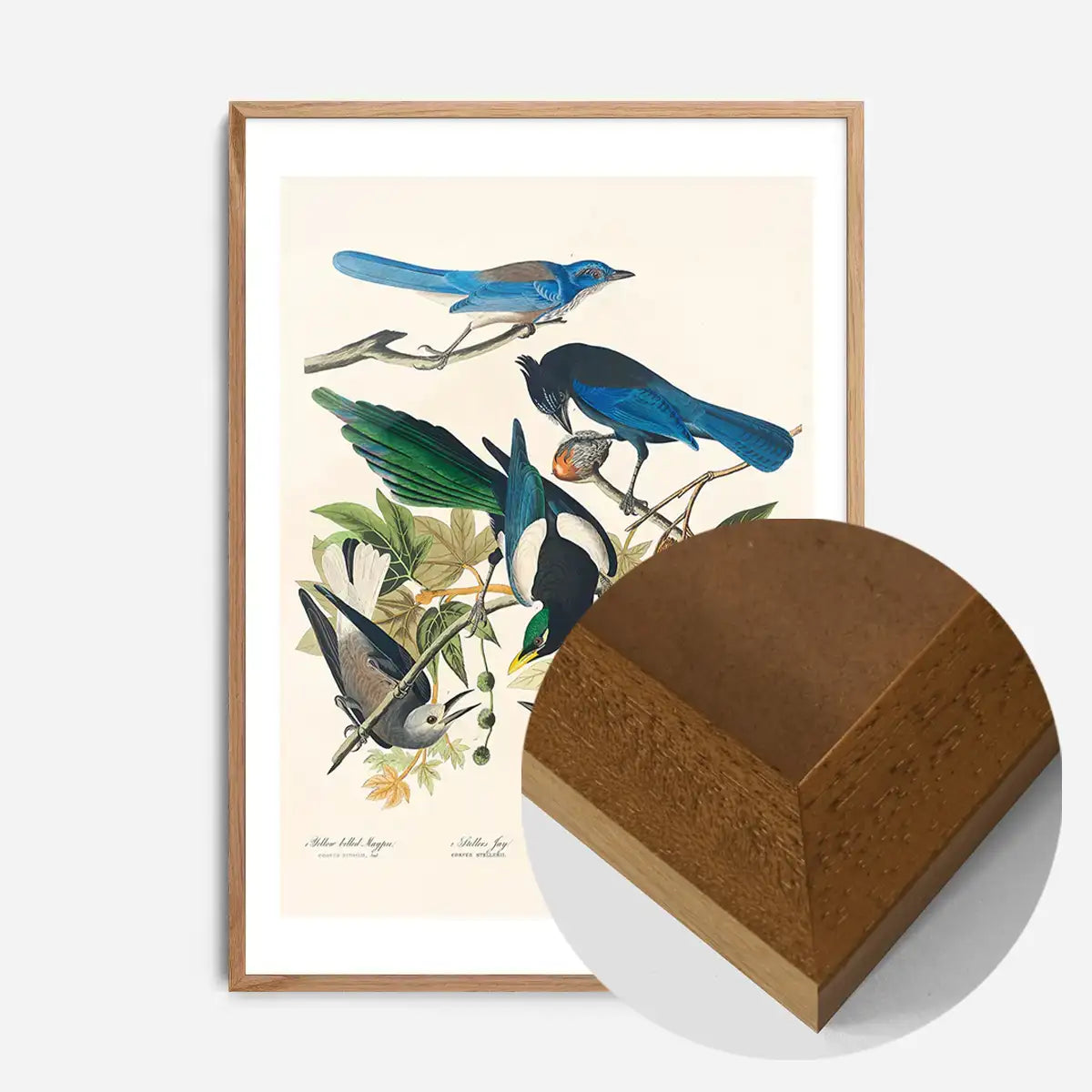 Five Birds Vintage Bird Print