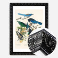 Black Ornate Frame