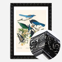 Five Birds Vintage Bird Print