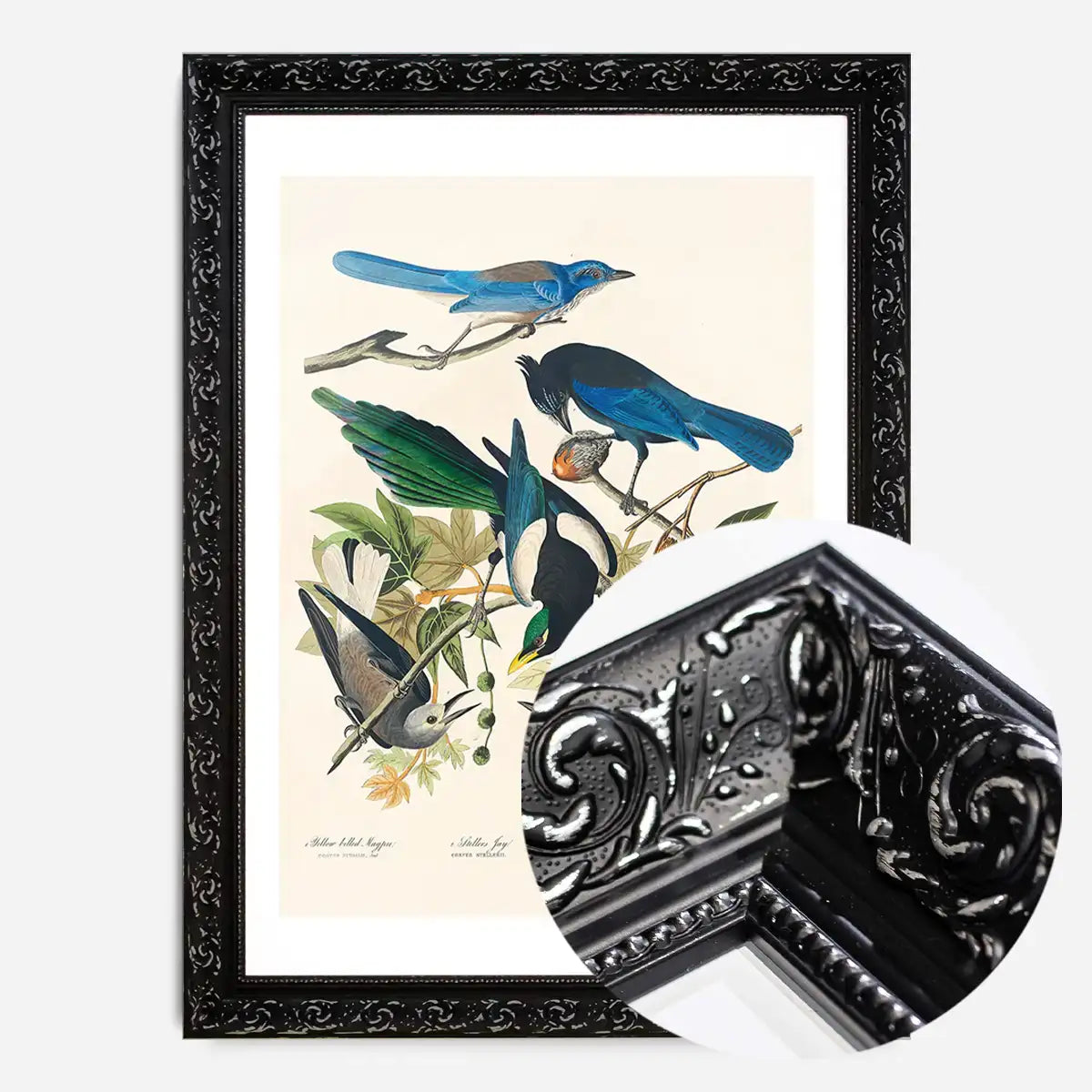 Five Birds Vintage Bird Print