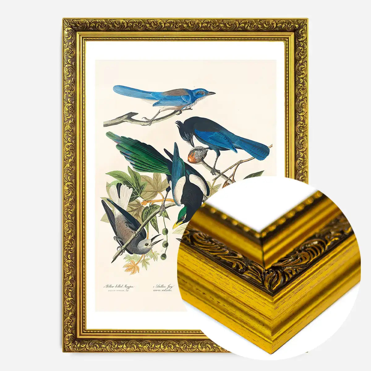 Five Birds Vintage Bird Print