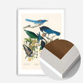 White Wood Frame