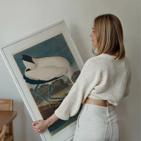 Wood Stork Vintage Bird Print
