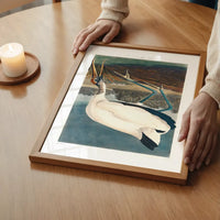 Wood Stork Vintage Bird Print