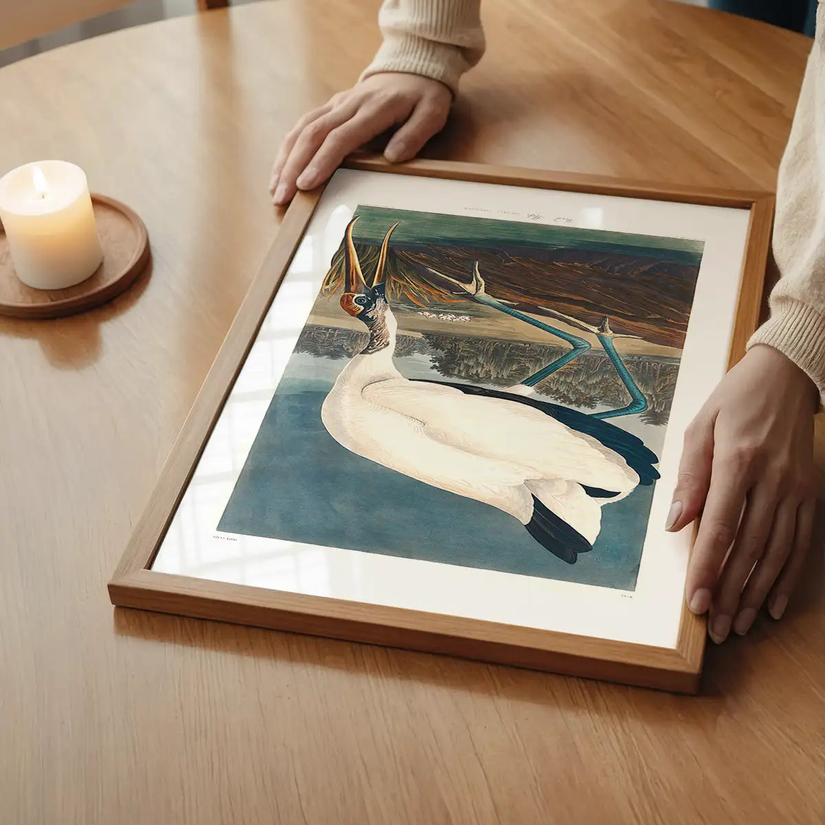 Wood Stork Vintage Bird Print