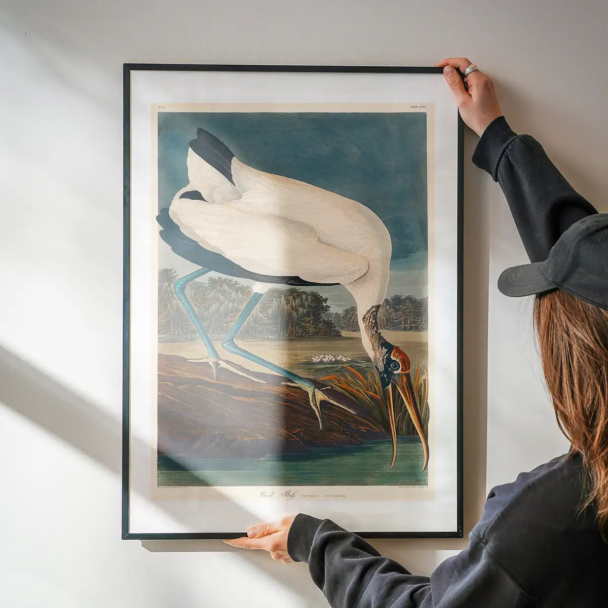 Wood Stork Vintage Bird Print