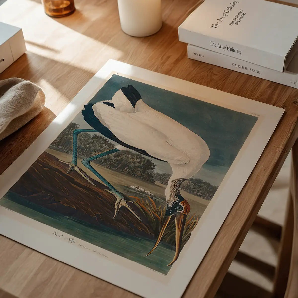 Wood Stork Vintage Bird Print