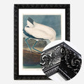 Black Ornate Frame