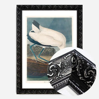 Wood Stork Vintage Bird Print