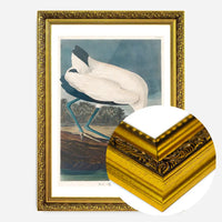 Wood Stork Vintage Bird Print
