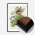 Black Wood Frame