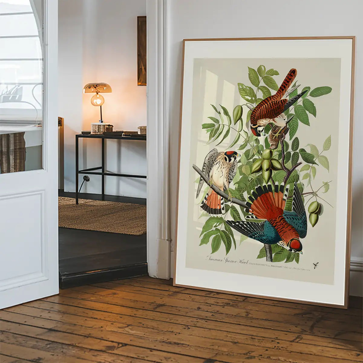 American Sparrow Hawk Vintage Bird Print