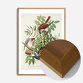 Oak Wood Frame