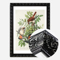 Black Ornate Frame