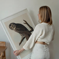 Great Owl Vintage Bird Print