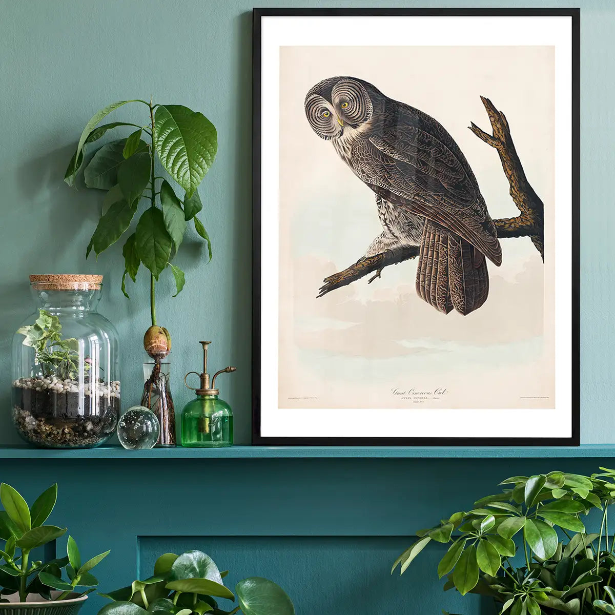 Great Owl Vintage Bird Print