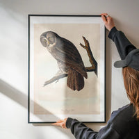 Great Owl Vintage Bird Print