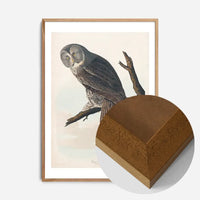 Great Owl Vintage Bird Print