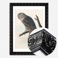 Great Owl Vintage Bird Print