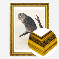 Great Owl Vintage Bird Print
