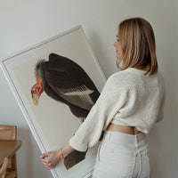 Vulture Vintage Bird Print