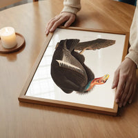 Vulture Vintage Bird Print