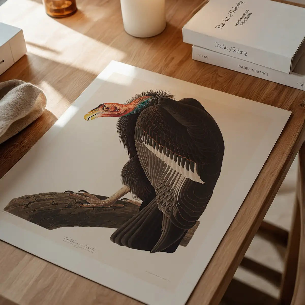 Vulture Vintage Bird Print