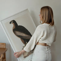 Sea Eagle Vintage Bird Print