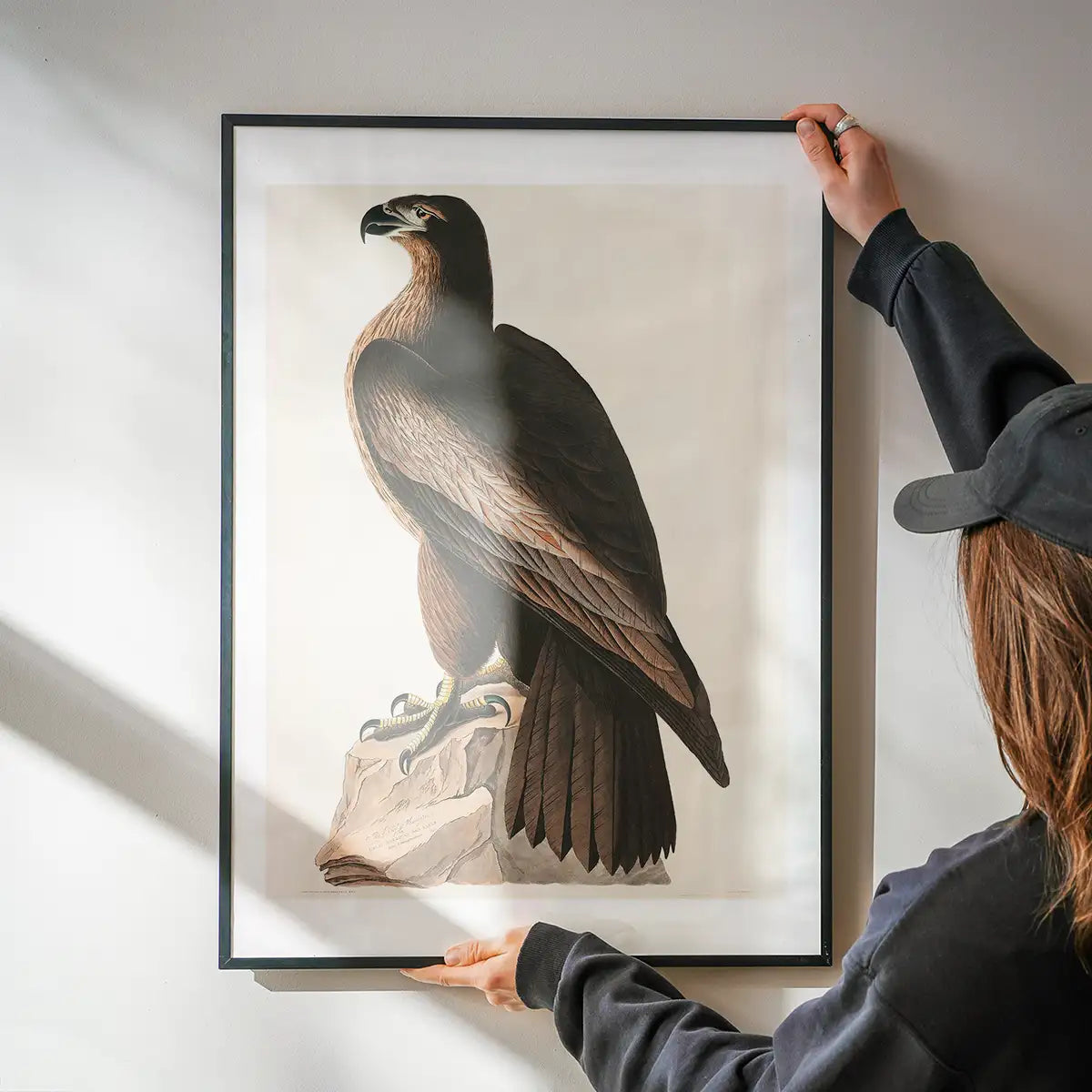 Sea Eagle Vintage Bird Print