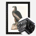Black Ornate Frame