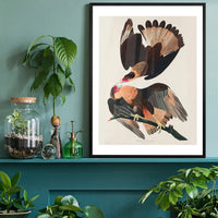 Brazilian Eagle Vintage Bird Print